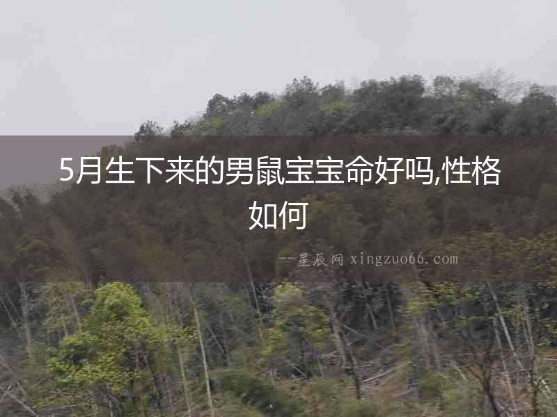 5月生下來的男鼠寶寶命好嗎,性格如何