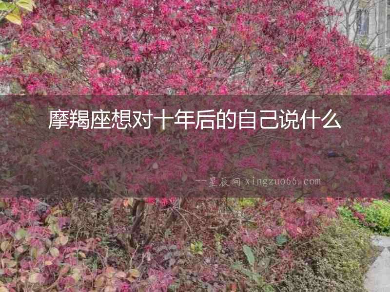 摩羯座想對(duì)十年后的自己說什么