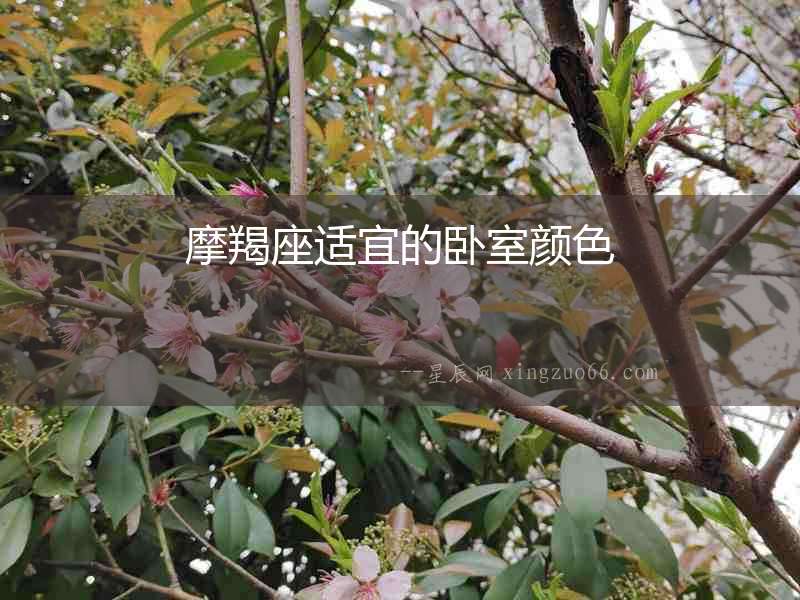 摩羯座適宜的臥室顏色