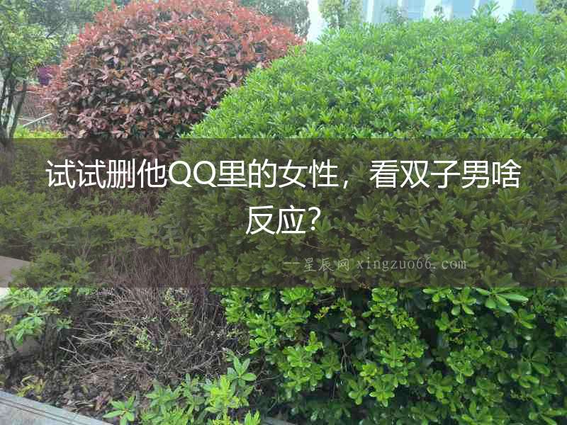 試試刪他QQ里的女性，看雙子男啥反應？