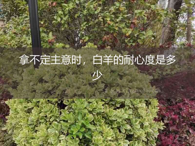 拿不定主意時，白羊的耐心度是多少