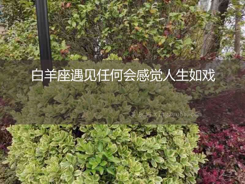 白羊座遇見任何會感覺人生如戲