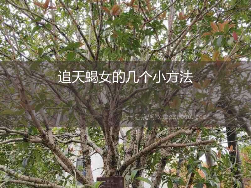 追天蝎女的幾個小方法