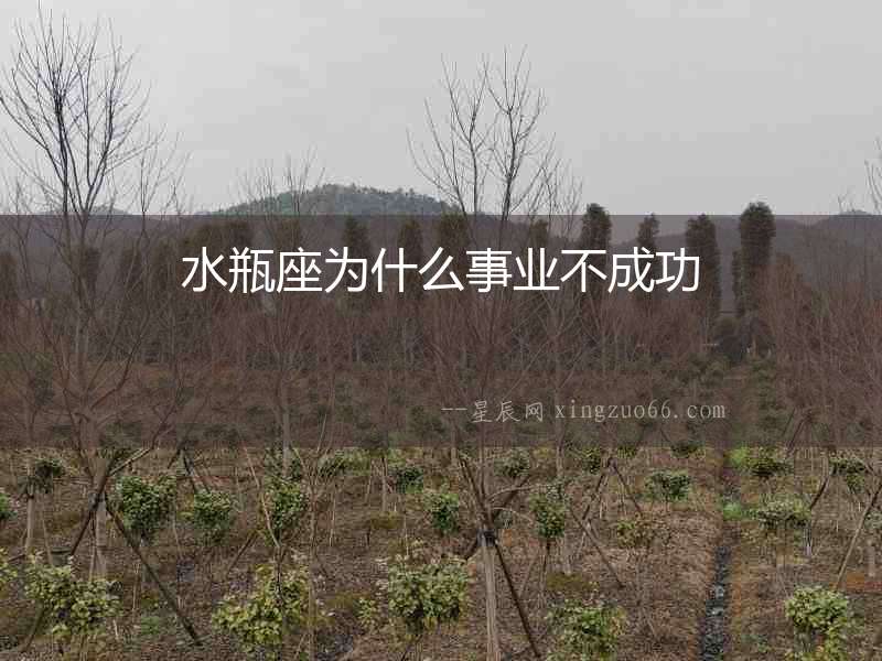 水瓶座為什么事業不成功