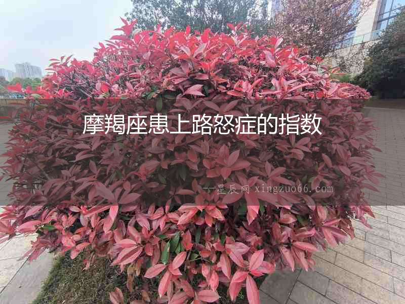 摩羯座患上路怒癥的指數
