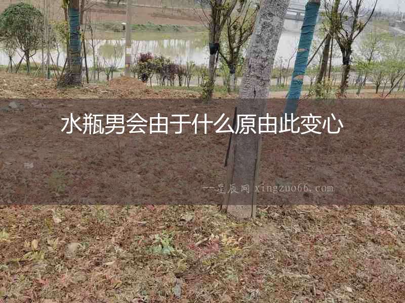 水瓶男會由于什么原由此變心