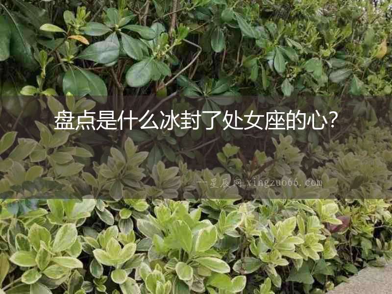 盤點(diǎn)是什么冰封了處女座的心？