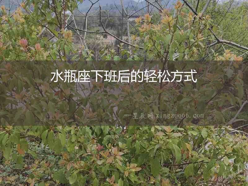 水瓶座下班后的輕松方式
