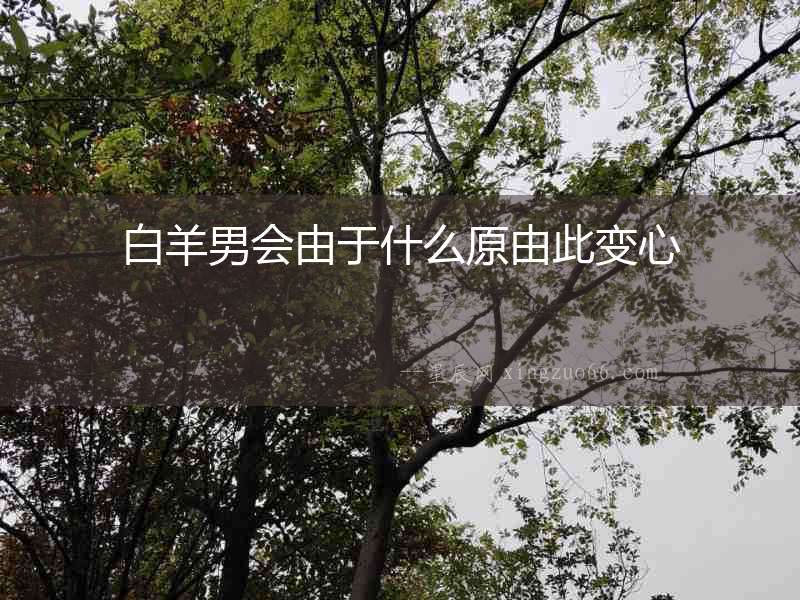 白羊男會(huì)由于什么原由此變心