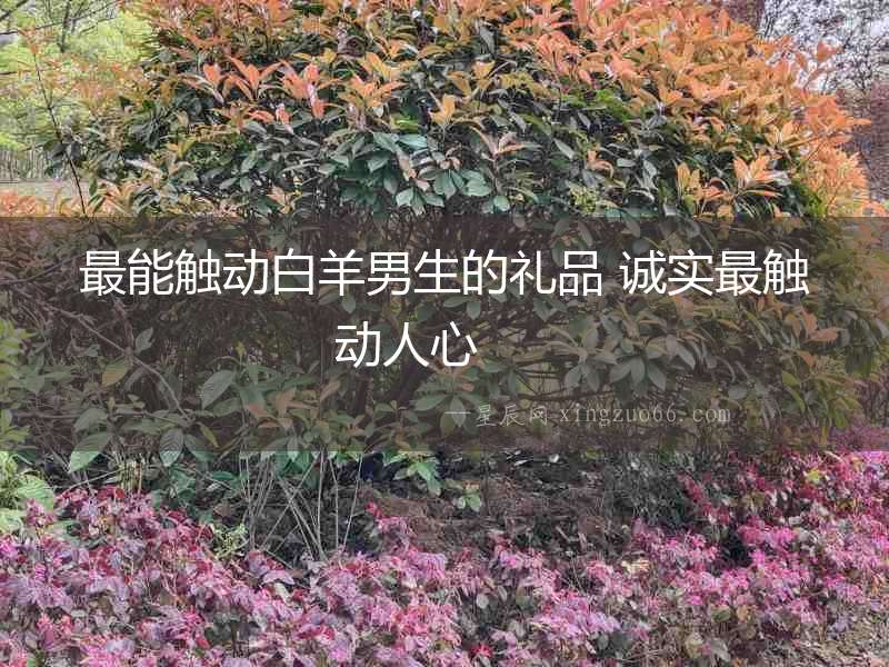 最能觸動(dòng)白羊男生的禮品 誠(chéng)實(shí)最觸動(dòng)人心  　　