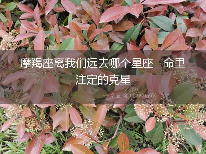 摩羯座離我們遠去哪個星座   命里注定的克星