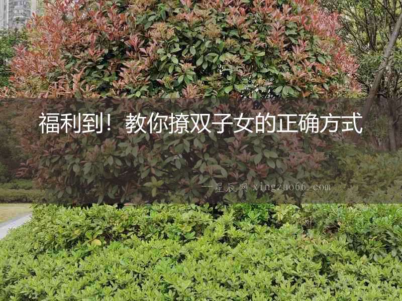 福利到！教你撩雙子女的正確方式