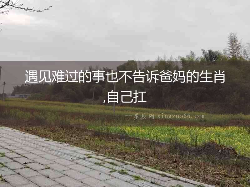 遇見難過的事也不告訴爸媽的生肖,自己扛