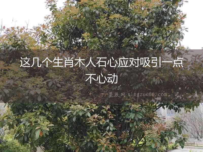 這幾個生肖木人石心應對吸引一點不心動