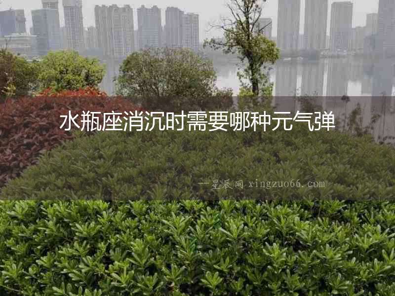 水瓶座消沉時需要哪種元氣彈