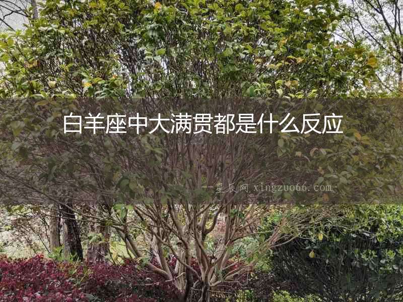白羊座中大滿貫都是什么反應(yīng)