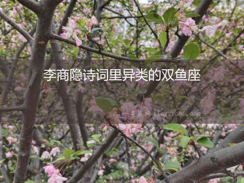 李商隱詩詞里異類的雙魚座