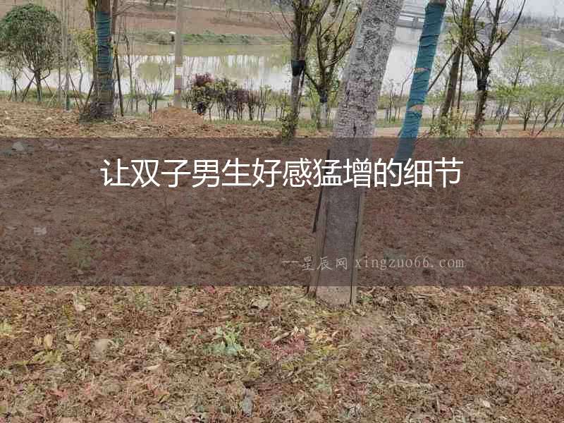 讓雙子男生好感猛增的細節