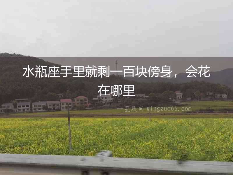 水瓶座手里就剩一百塊傍身，會花在哪里