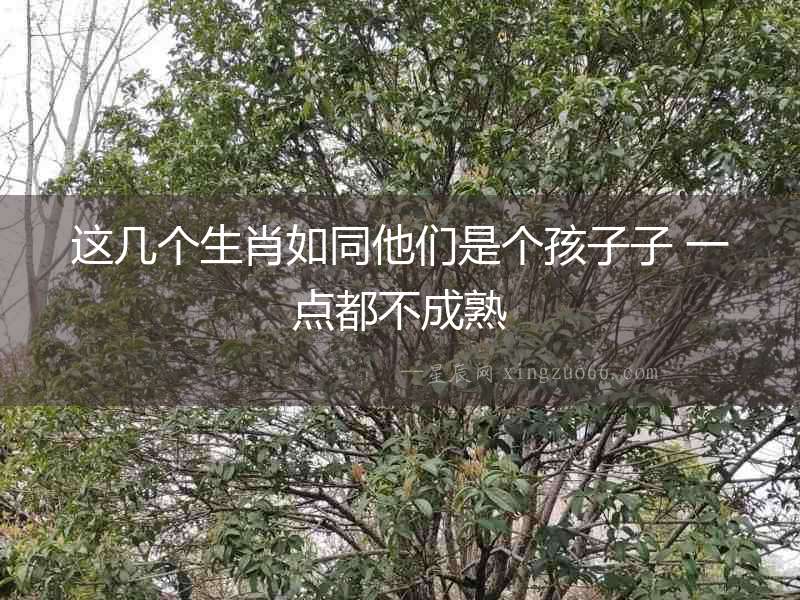 這幾個(gè)生肖如同他們是個(gè)孩子子 一點(diǎn)都不成熟