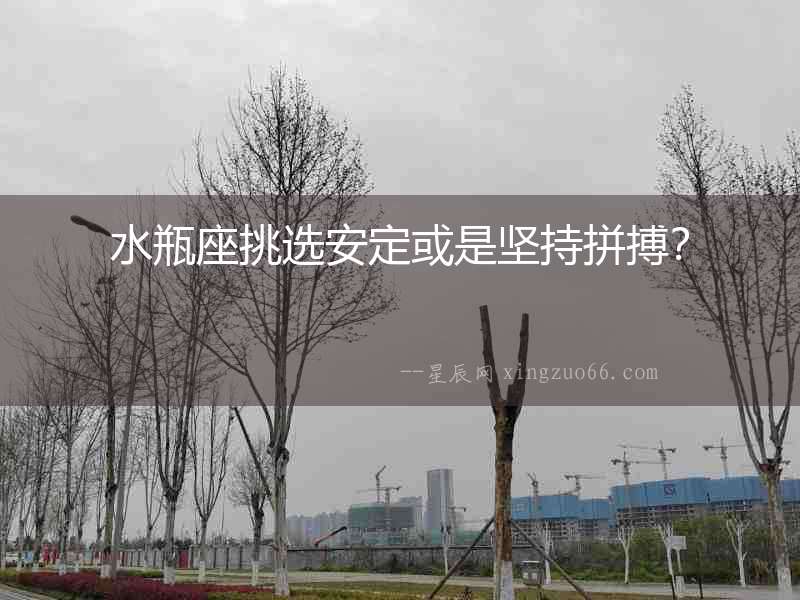 水瓶座挑選安定或是堅持拼搏？