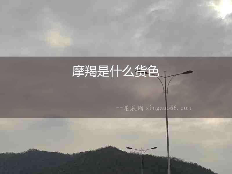 摩羯是什么貨色