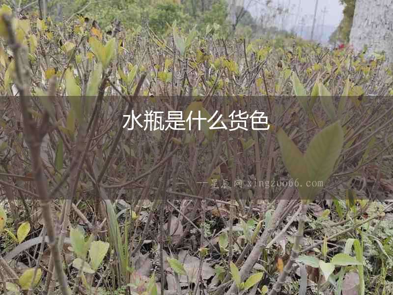 水瓶是什么貨色