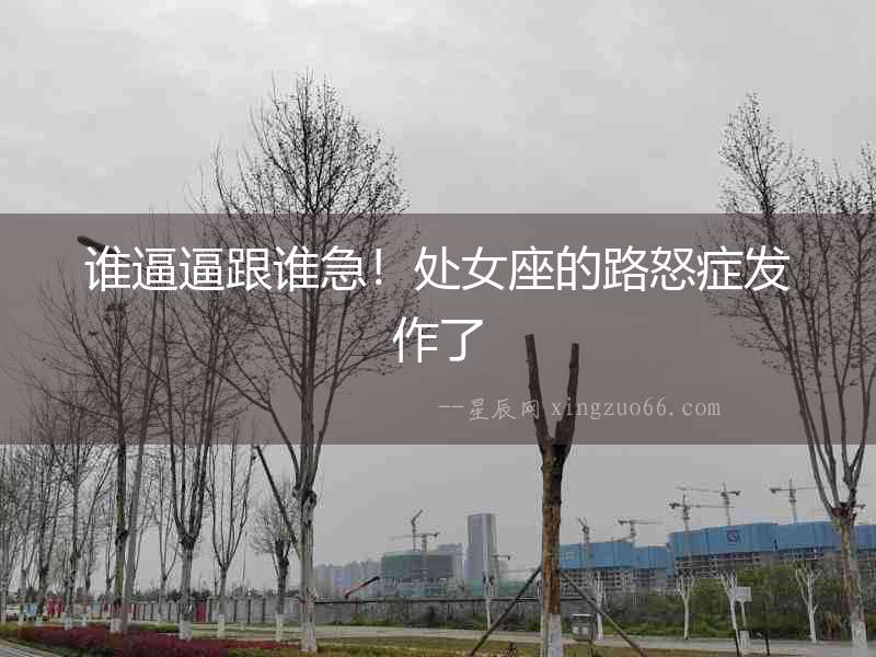 誰逼逼跟誰急！處女座的路怒癥發(fā)作了