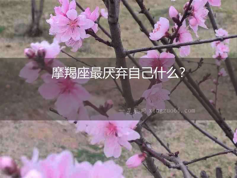摩羯座最厭棄自己什么？