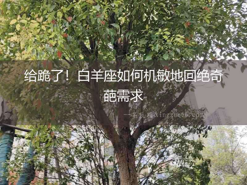 給跪了！白羊座如何機敏地回絕奇葩需求