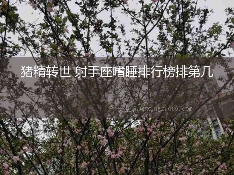 豬精轉世 射手座嗜睡排行榜排第幾