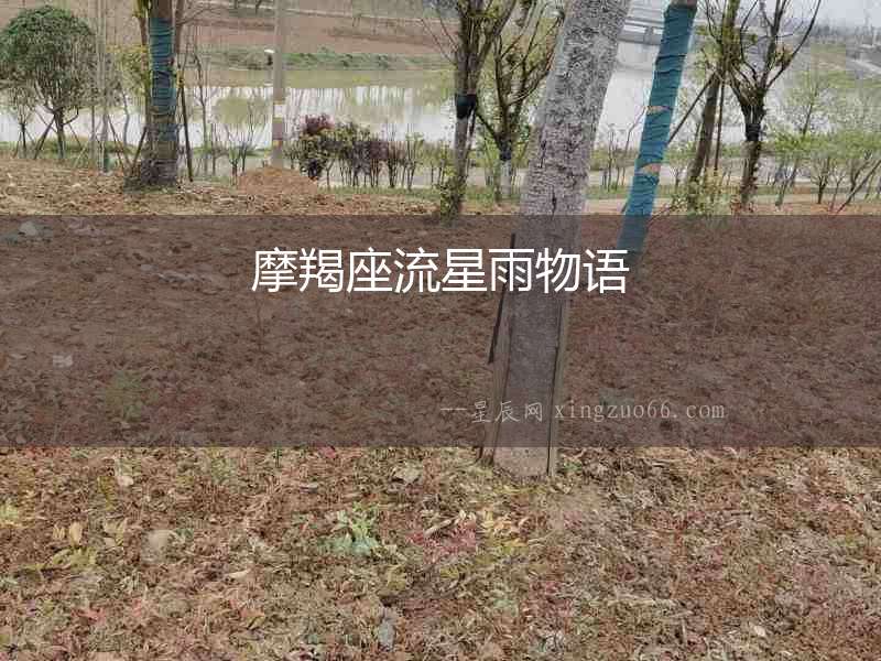 摩羯座流星雨物語