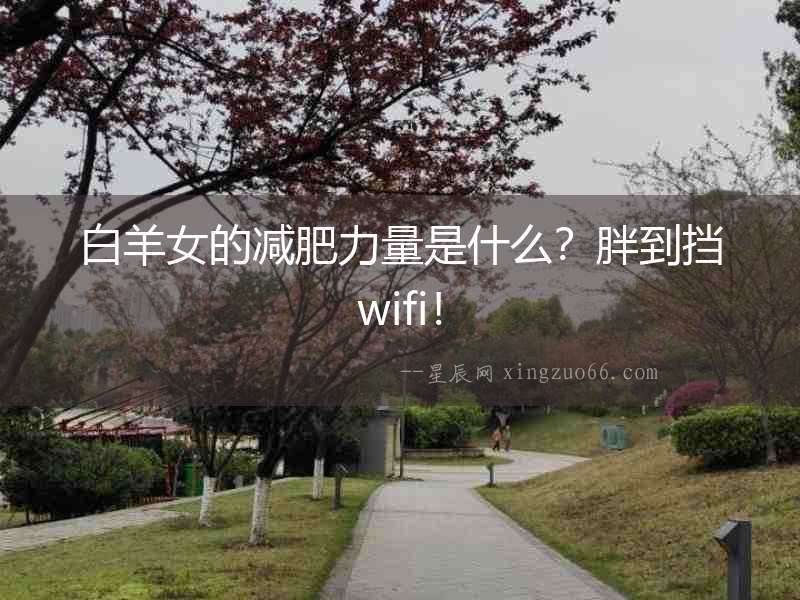 白羊女的減肥力量是什么？胖到擋wifi！