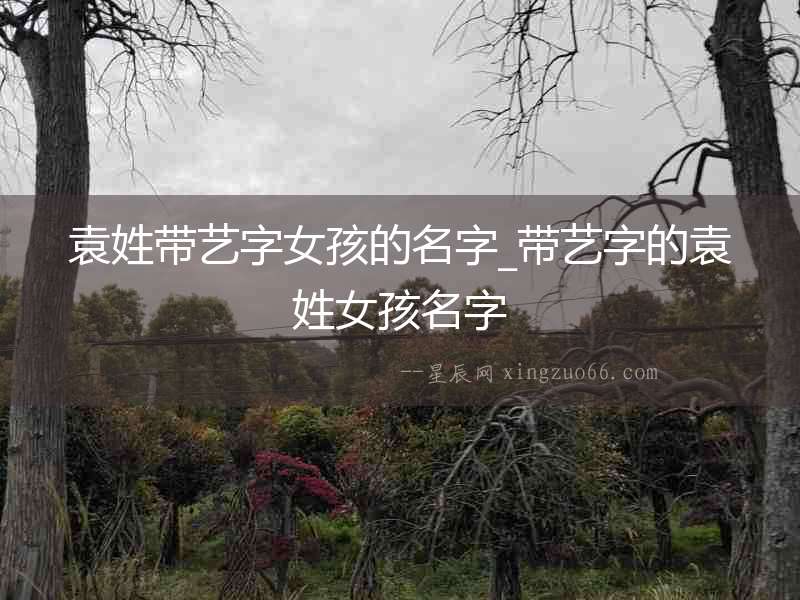 袁姓帶藝字女孩的名字_帶藝字的袁姓女孩名字