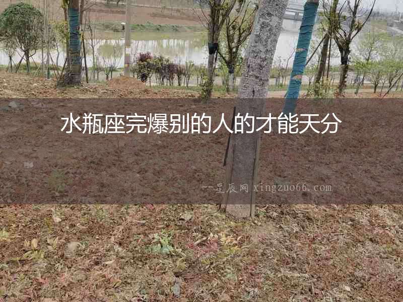 水瓶座完爆別的人的才能天分