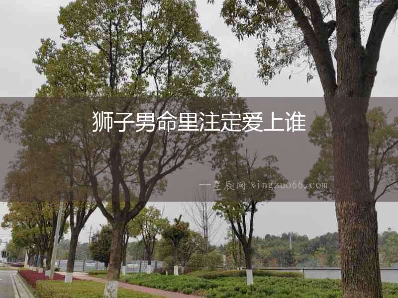 獅子男命里注定愛上誰
