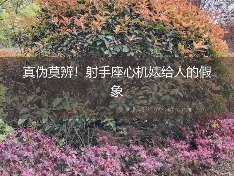 真偽莫辨！射手座心機婊給人的假象