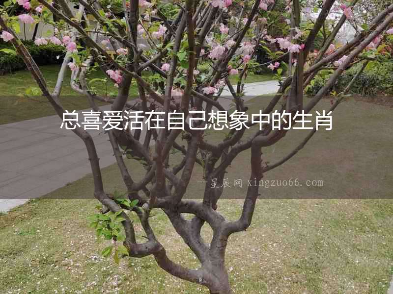 總喜愛活在自己想象中的生肖