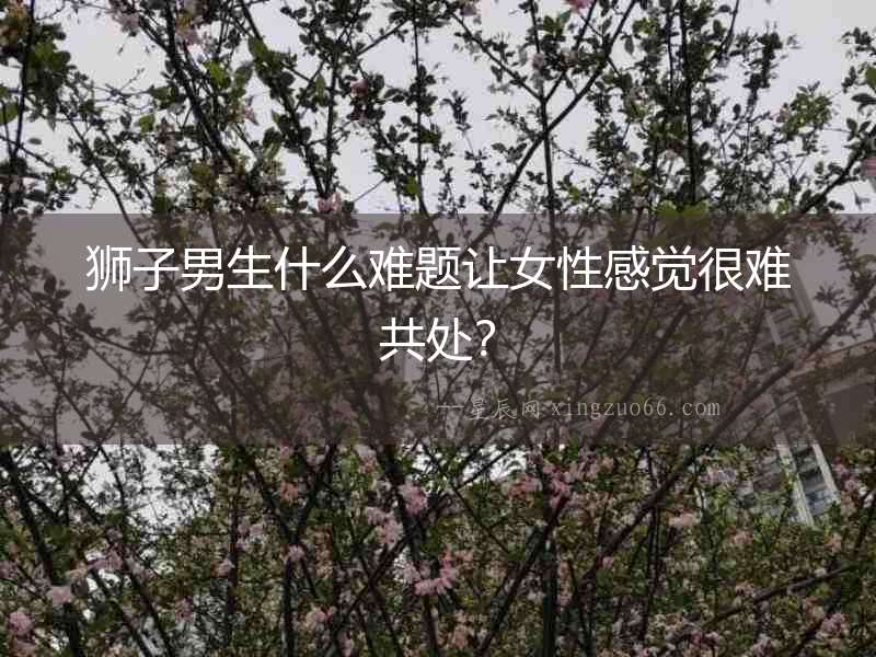 獅子男生什么難題讓女性感覺很難共處？