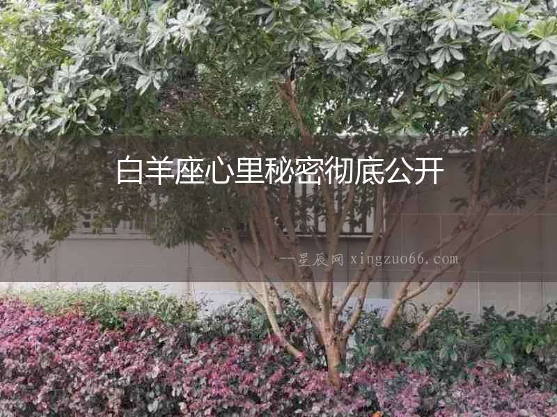 白羊座心里秘密徹底公開(kāi)