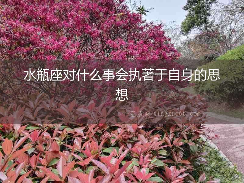水瓶座對什么事會執著于自身的思想