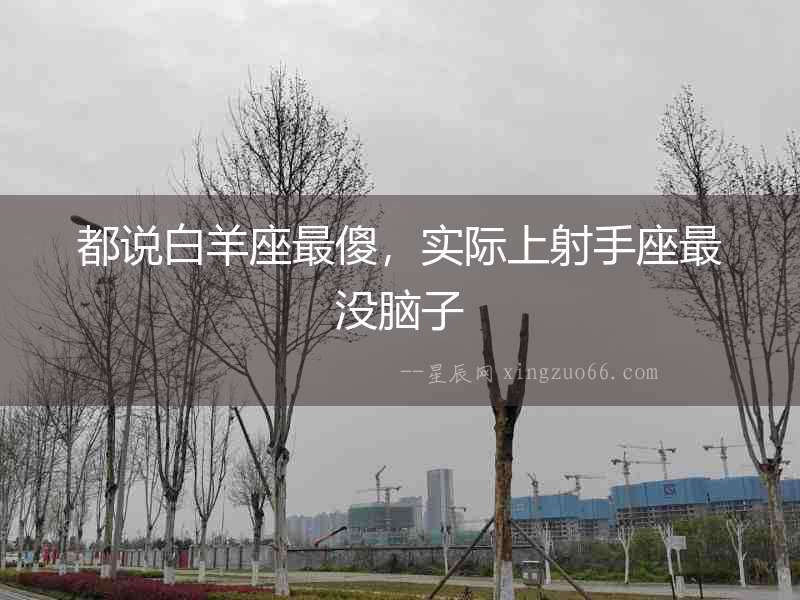 都說白羊座最傻，實際上射手座最沒腦子