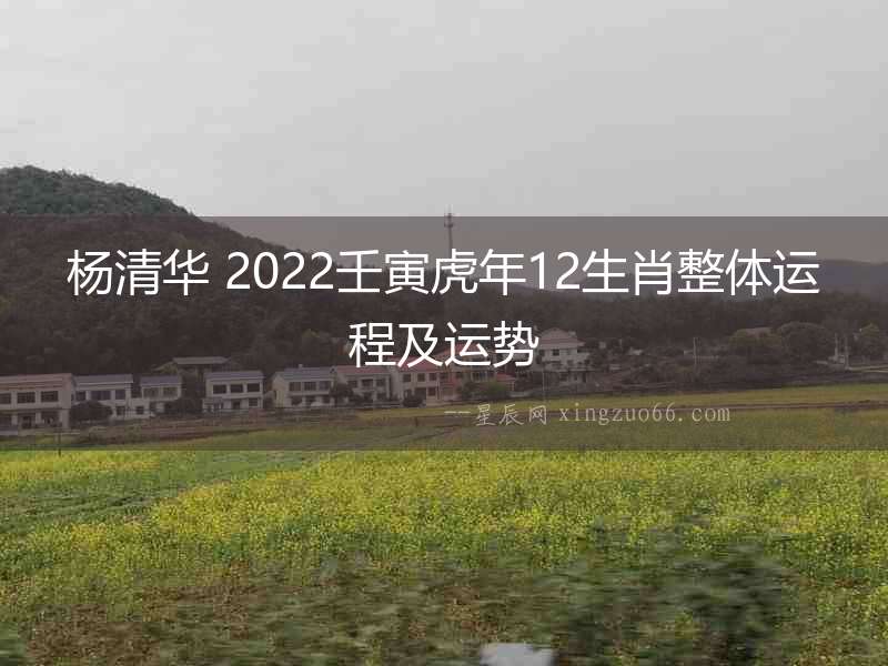 楊清華 2022壬寅虎年12生肖整體運程及運勢