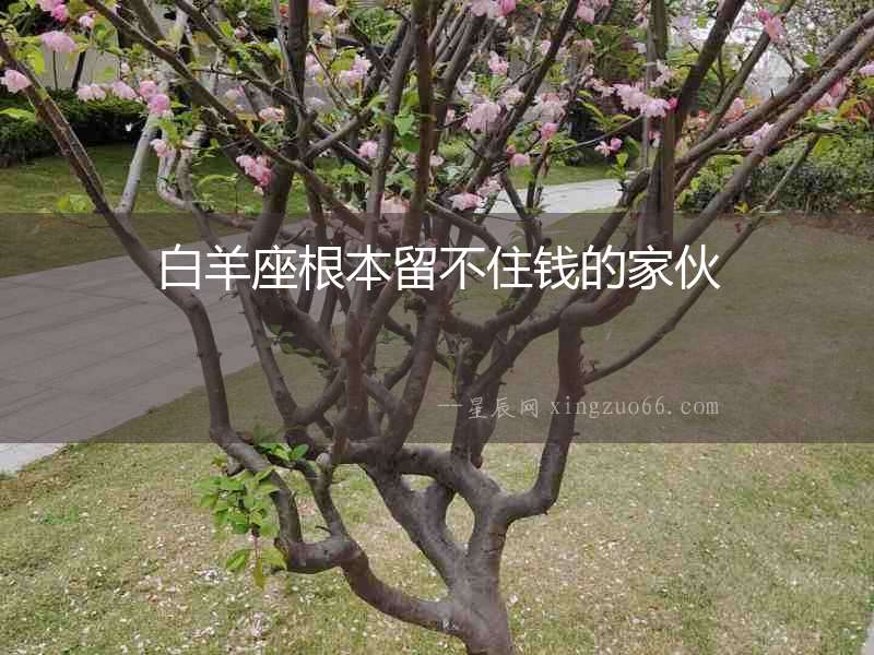 白羊座根本留不住錢的家伙