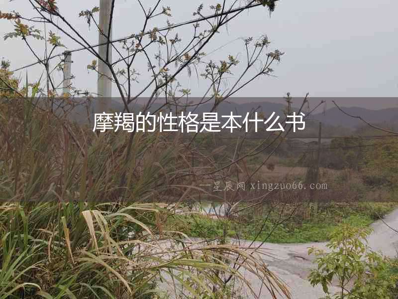 摩羯的性格是本什么書