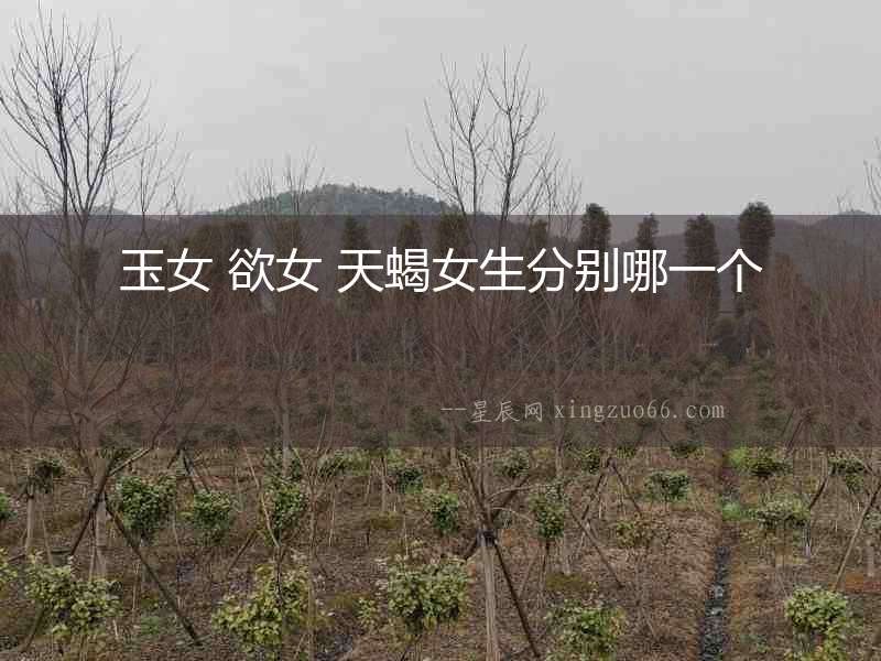 玉女 欲女 天蝎女生分別哪一個