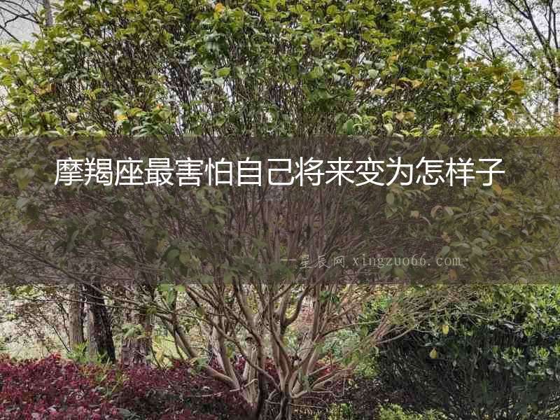 摩羯座最害怕自己將來變為怎樣子
