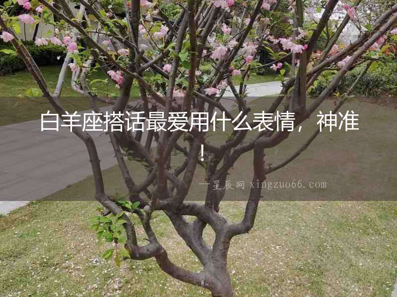白羊座搭話最愛用什么表情，神準(zhǔn)！