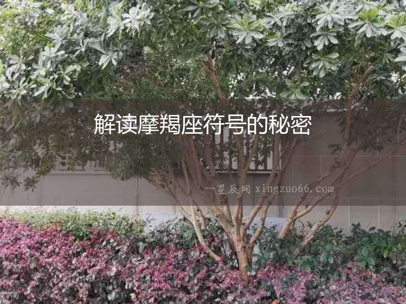 解讀摩羯座符號的秘密