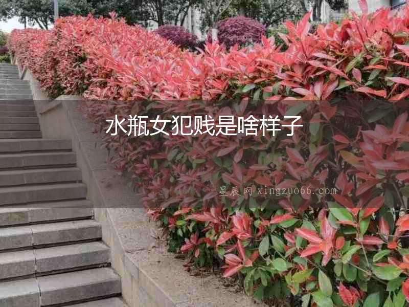 水瓶女犯賤是啥樣子